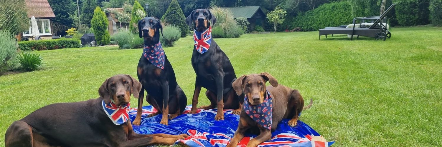 🇬🇧❤️Doberkidz❤️🇬🇧 banner
