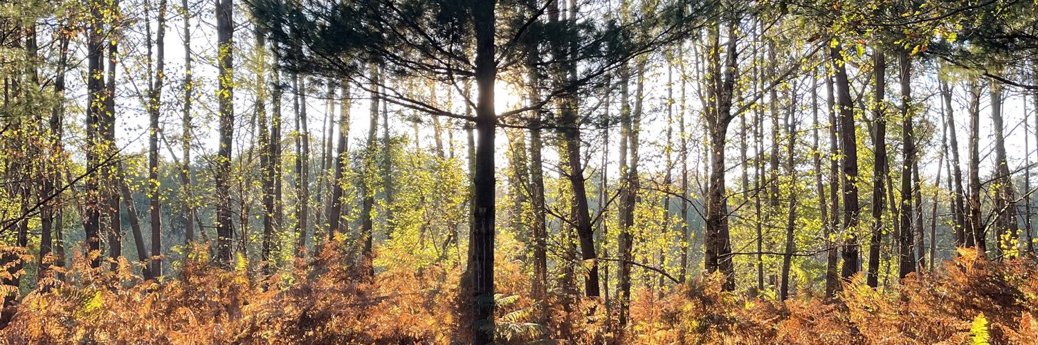 Thomas Jezequel banner