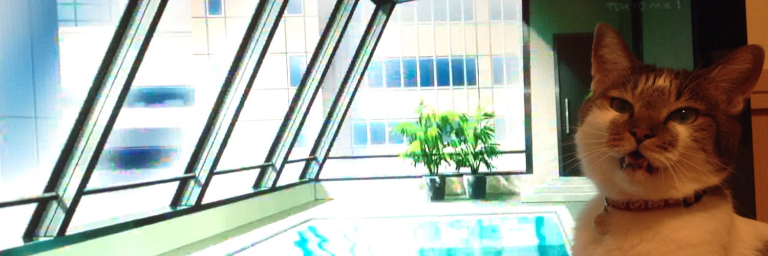 az_riru's profile banner image