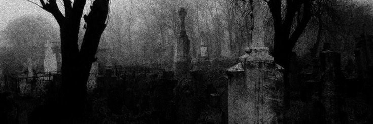 C0LDHCARTCD's profile banner image