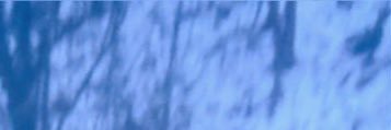 cho10cho30's profile banner image
