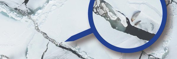 bt_mcclintock Profile Banner