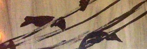 bellamariollo's profile banner image