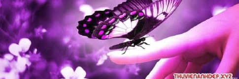 raymond_dae's profile banner image