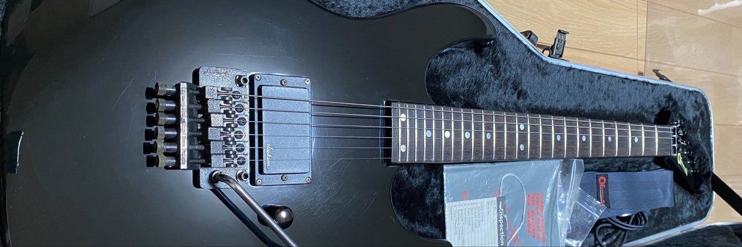 Hail_Guitar's profile banner image