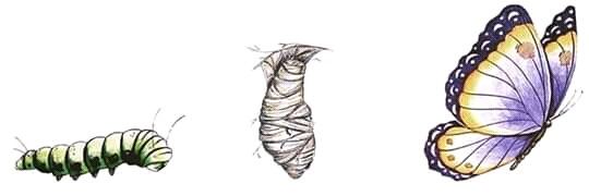 B_atrizzzzzz's profile banner image