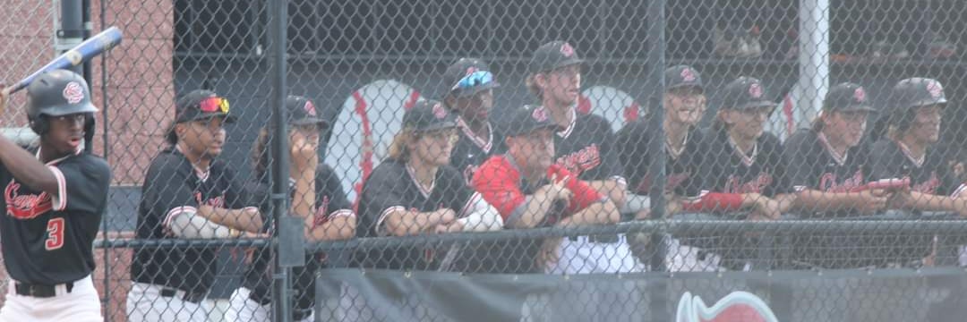 Strawberry Crest HS Baseball banner