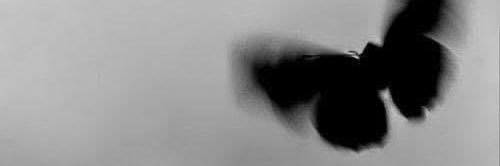 ricanpapi98's profile banner image
