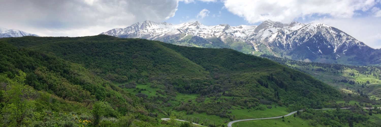 Ashley Calder banner