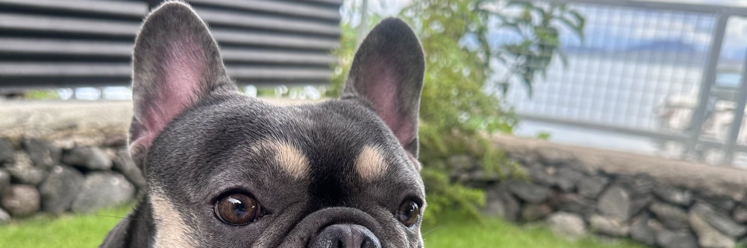 JROsnipes's profile banner image