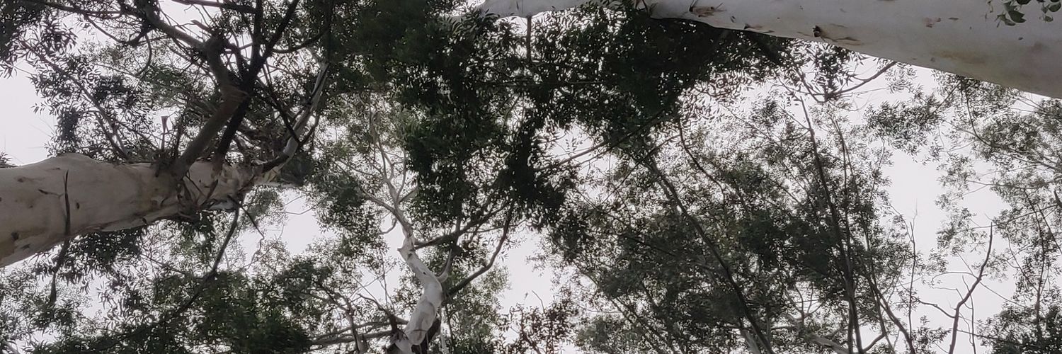 Ameercu's profile banner image