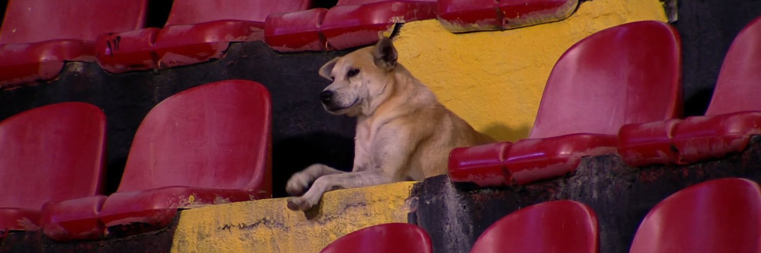 periculum in mora banner