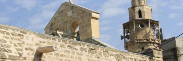 zaanoona Profile Banner