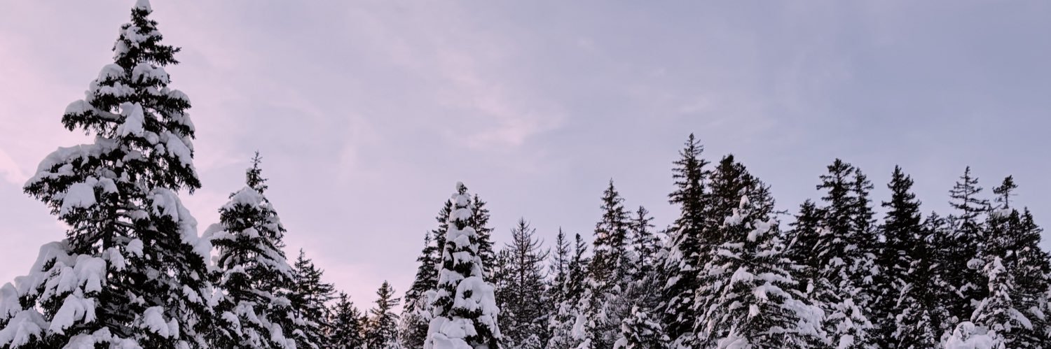 emidiio00's profile banner image