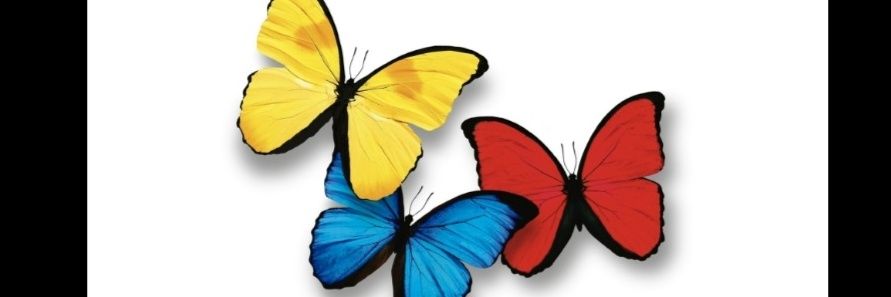 Andrea Giraldo García banner