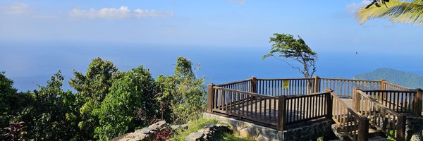 dameondle Profile Banner