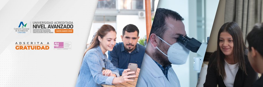 UDLAChile banner