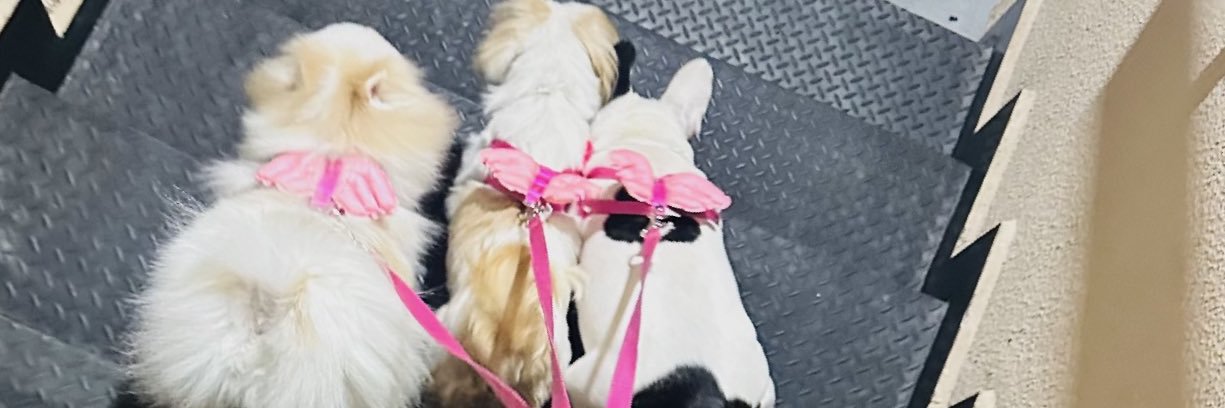 Escri✞ório Um Li✞✞le de Jus✞iça banner