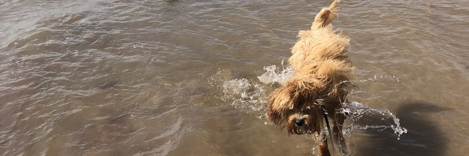 Millie McElhinney banner