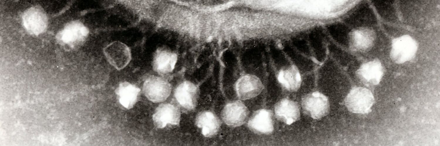 ASM Division M banner