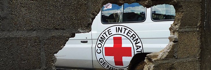 Graziella L Piccoli banner