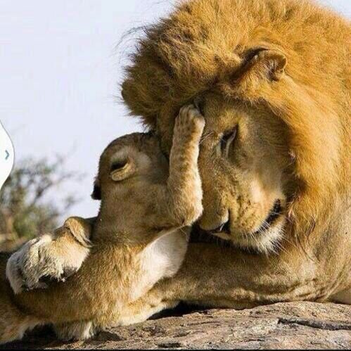 سلطان خميس banner