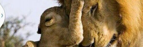 csultank1 Profile Banner