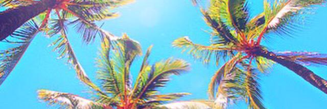 nanami_84's profile banner image