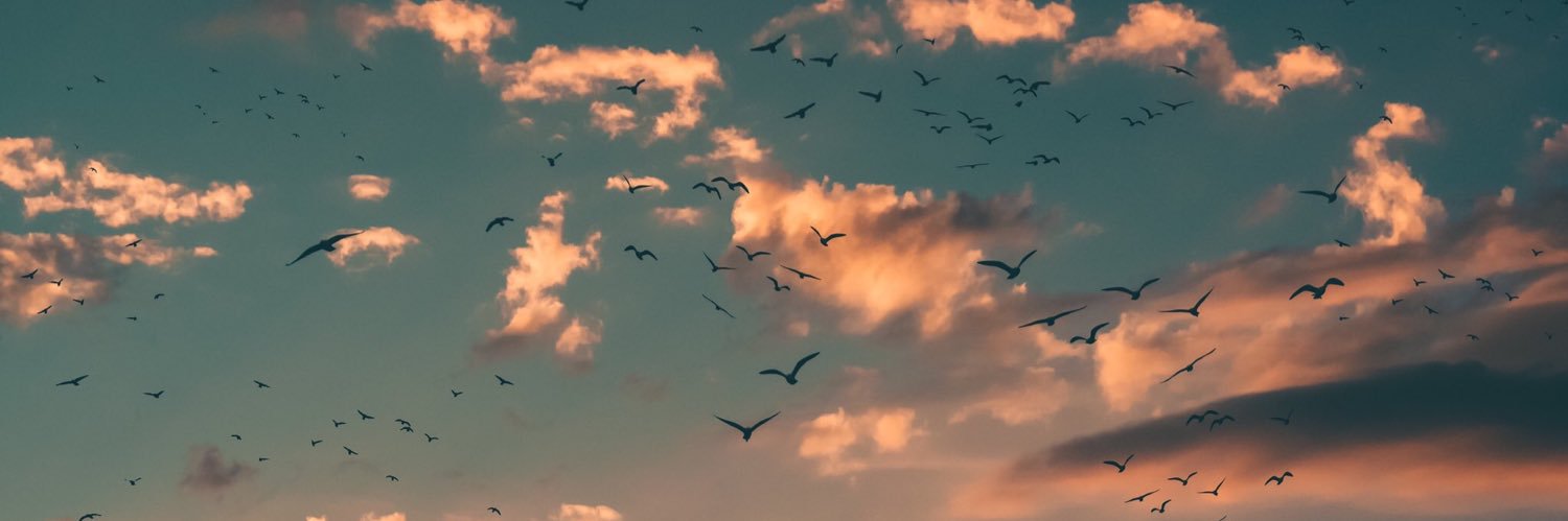 WipingJuniens__'s profile banner image