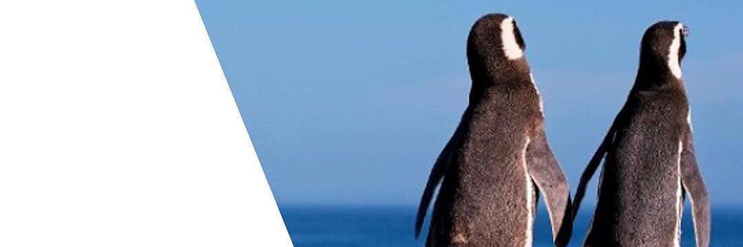 Mayma. Humanidad Emprendedora banner