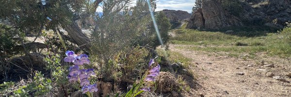 DeborahCAN Profile Banner