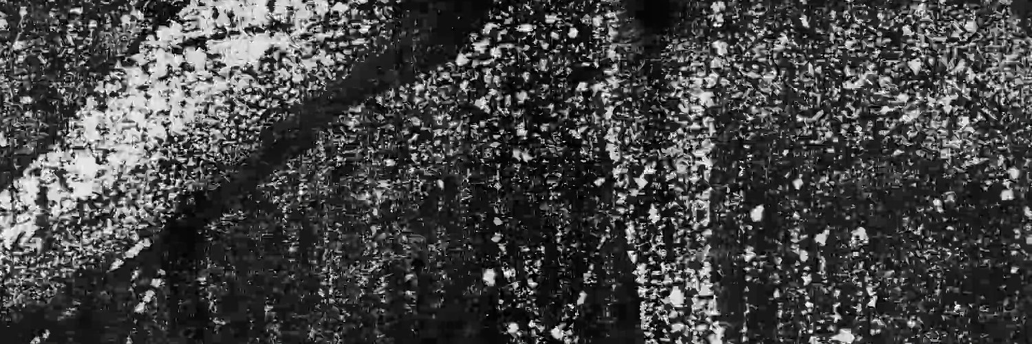 Parts Labour / mariano ramis banner