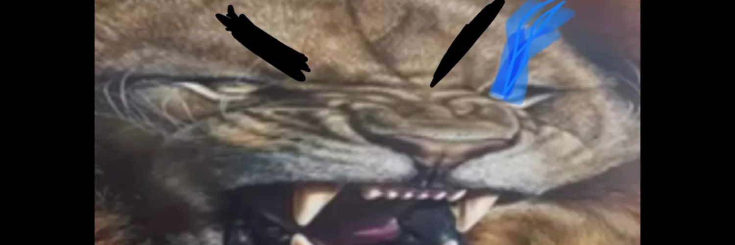 GabrielMWoodman's profile banner image