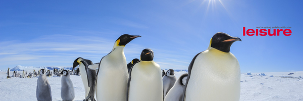 akhaelss Profile Banner