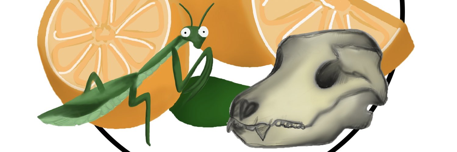 driedoranges's profile banner image