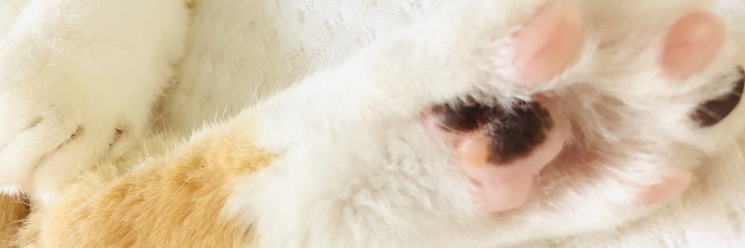 ynrw7591's profile banner image