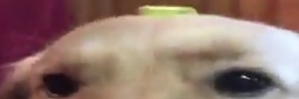 LocosTaco_'s profile banner image