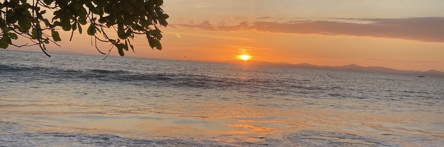 sofii_15v's profile banner image