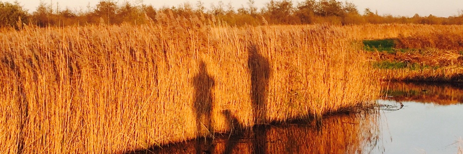 ItekeK's profile banner image