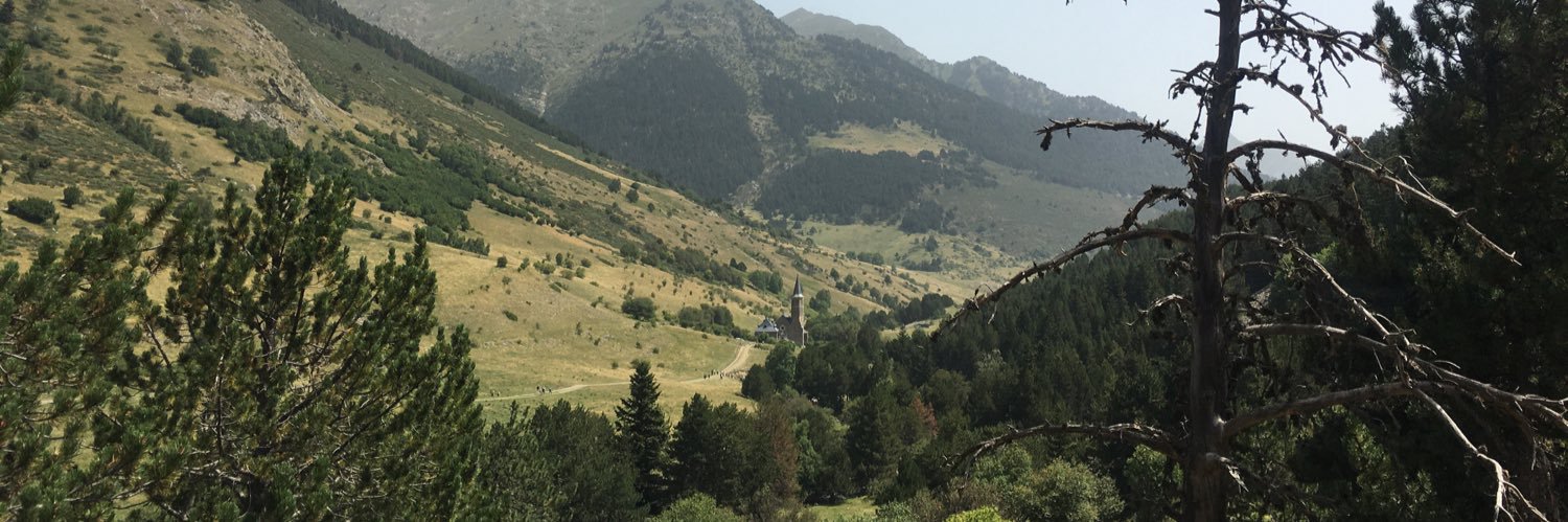 Mercè Jané Bidó banner