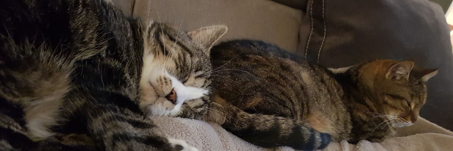 Mam&Boule❤️⭐&Muscade❤️ banner