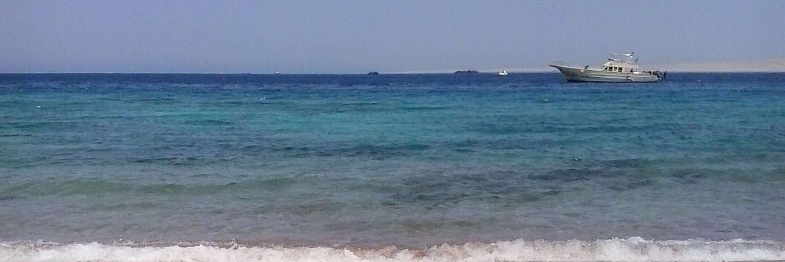 Ragia Ibrahim banner