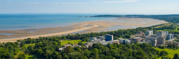 Swansea_Alumni Profile Banner