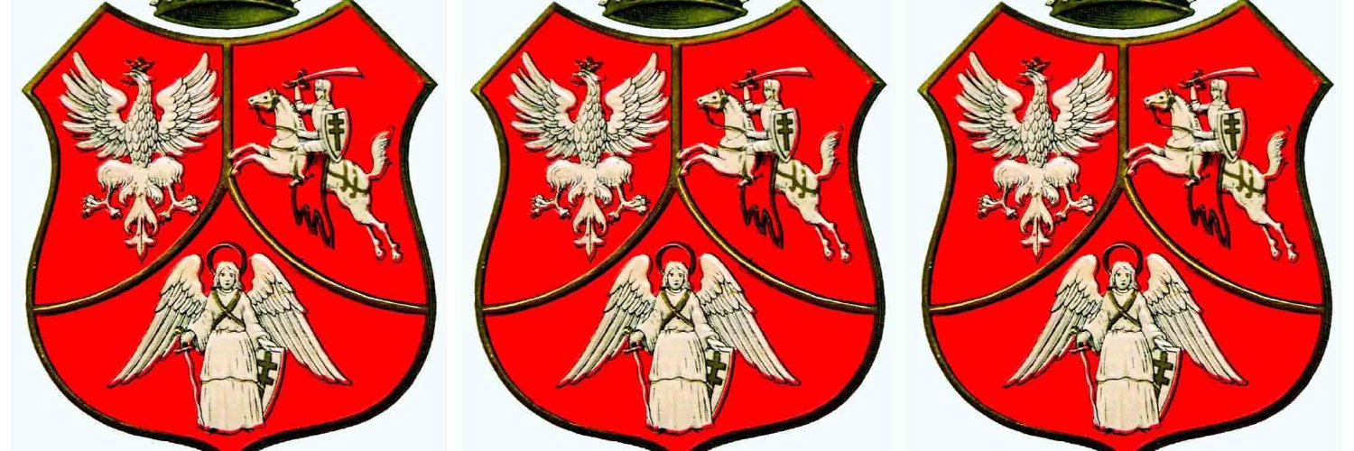 LHaydukiewicz's profile banner image