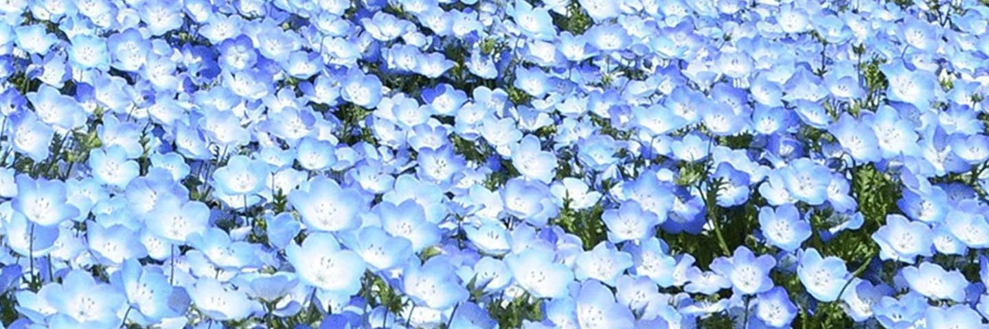 mty_ju's profile banner image