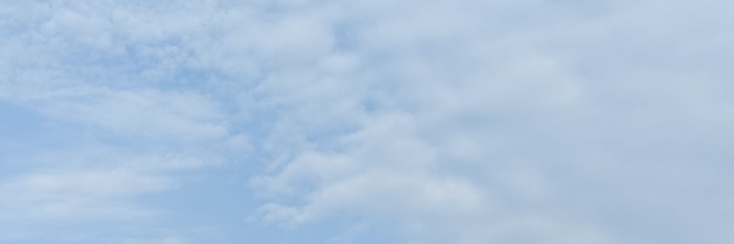 turqquoise's profile banner image