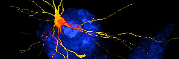 NeuroSharps Profile Banner