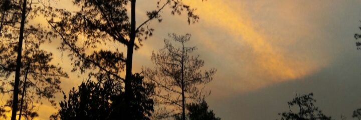 efritingolrait's profile banner image