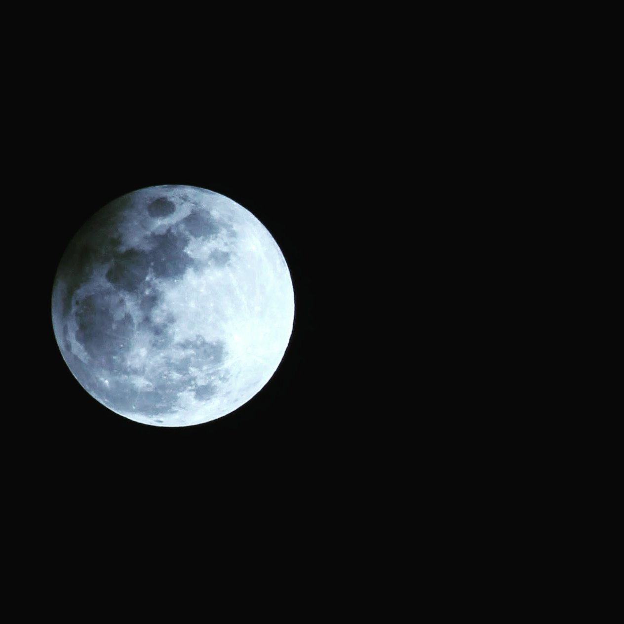 iamjellybee's profile banner image