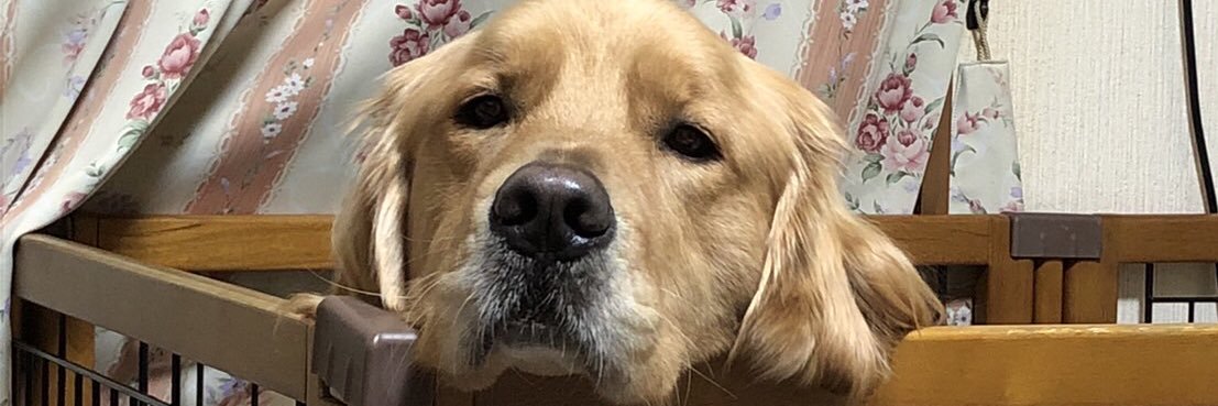 むさし　ヴァロスランプ中 banner